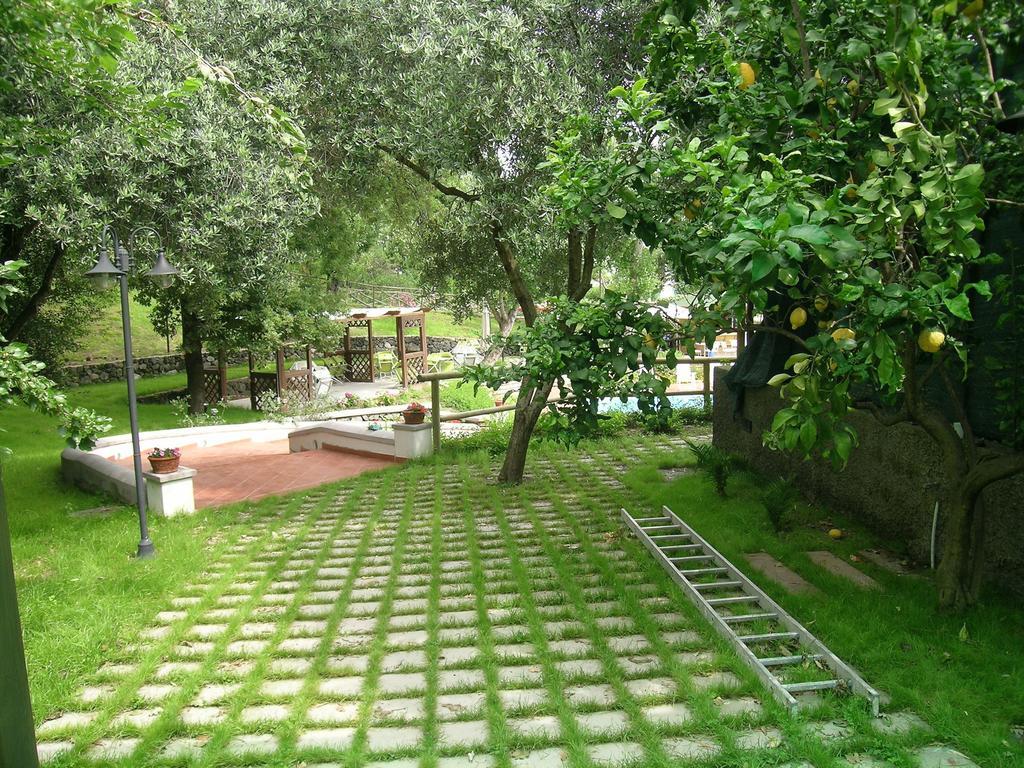 Residence Aegidius Искья Номер фото
